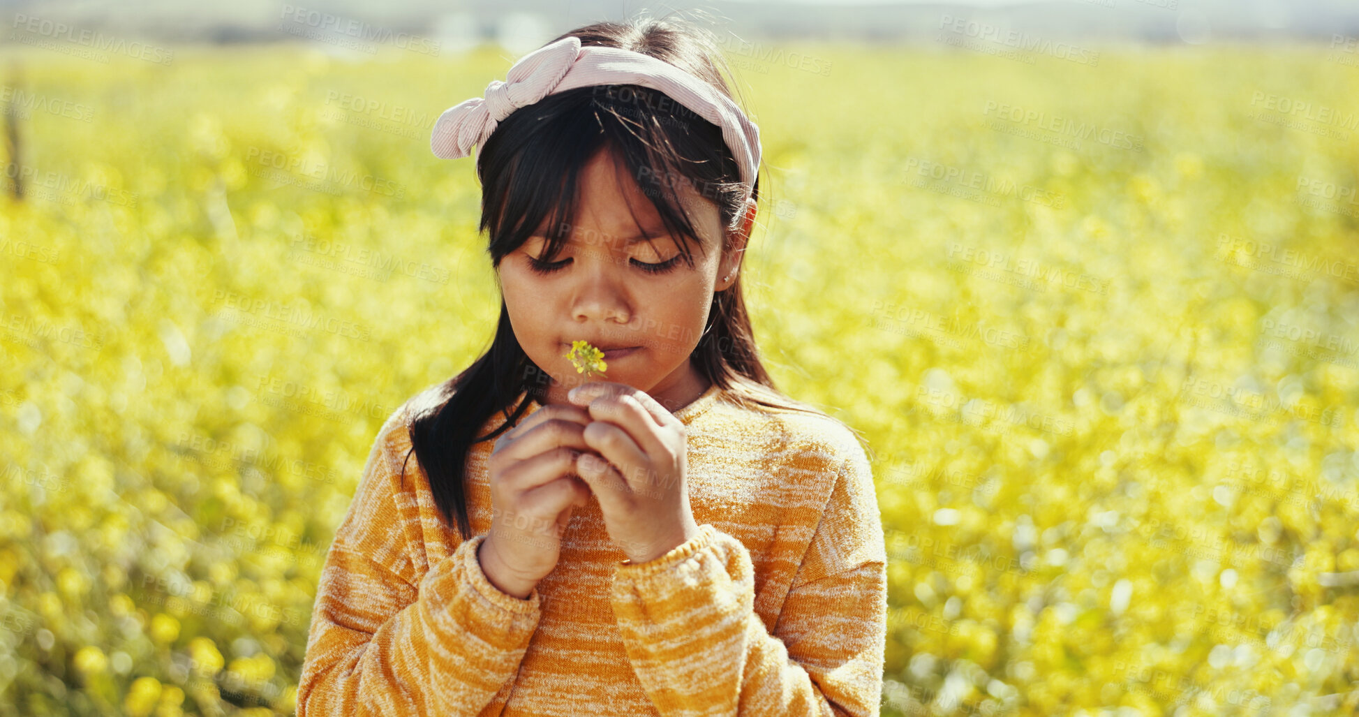 Buy stock photo Smell, flowers and nature with child in field for environment, growth and sustainability. Freedom, wellness and meadow with young girl in countryside garden for spring season, park and vacation