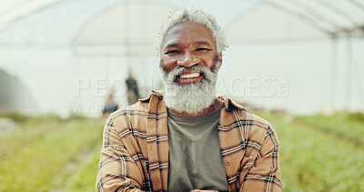 Buy stock photo Happy, sustainable and portrait of man in greenhouse for agriculture, eco friendly or natural produce. Smile, environment and face of mature African male farmer for indoor gardening with vegetables.