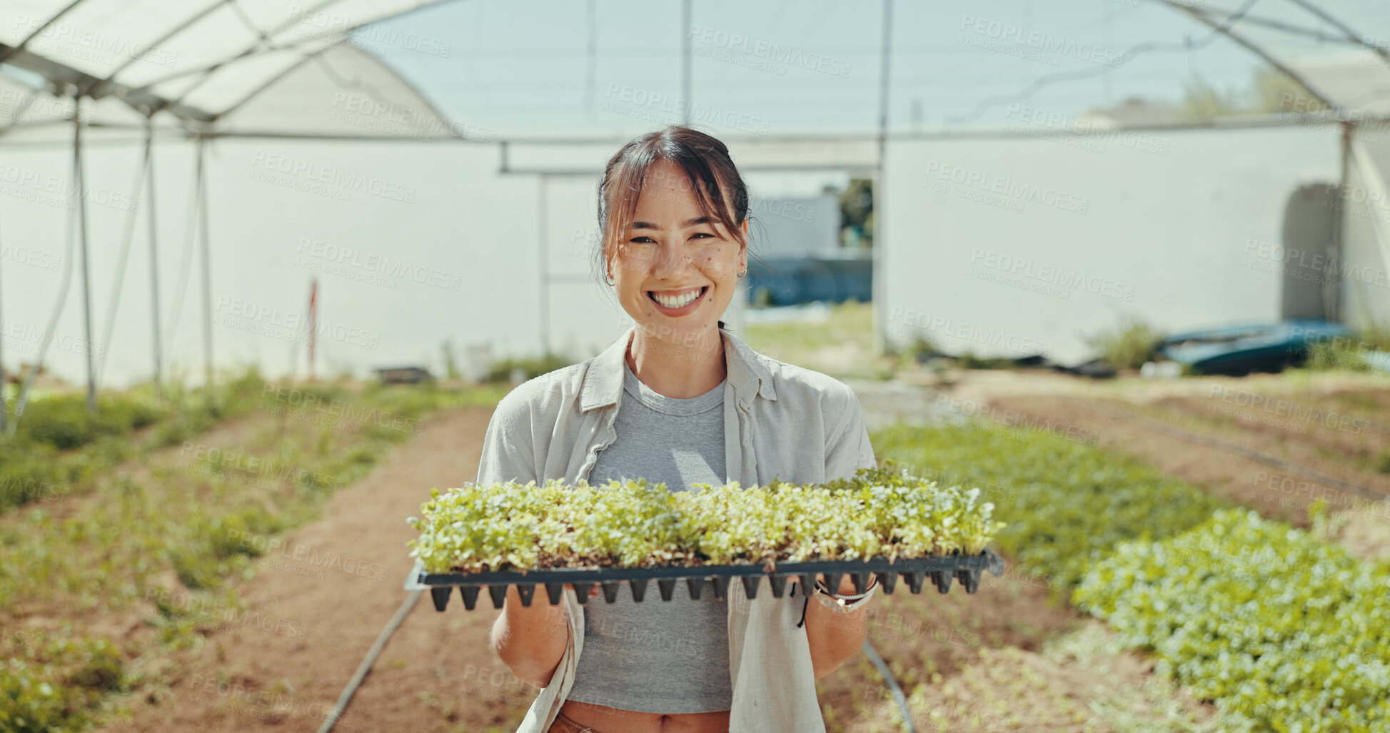 Buy stock photo Greenhouse, plants and portrait of woman on farm for agriculture, sustainability and growth. Environment, summer and eco friendly with person and field for crop inspection, quality control and health