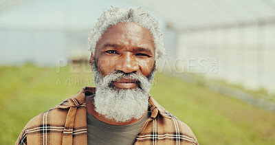 Buy stock photo Pride, sustainable and portrait of man in greenhouse for agriculture, eco friendly or natural produce. Confident, environment and face of mature African farmer for indoor gardening with vegetables.