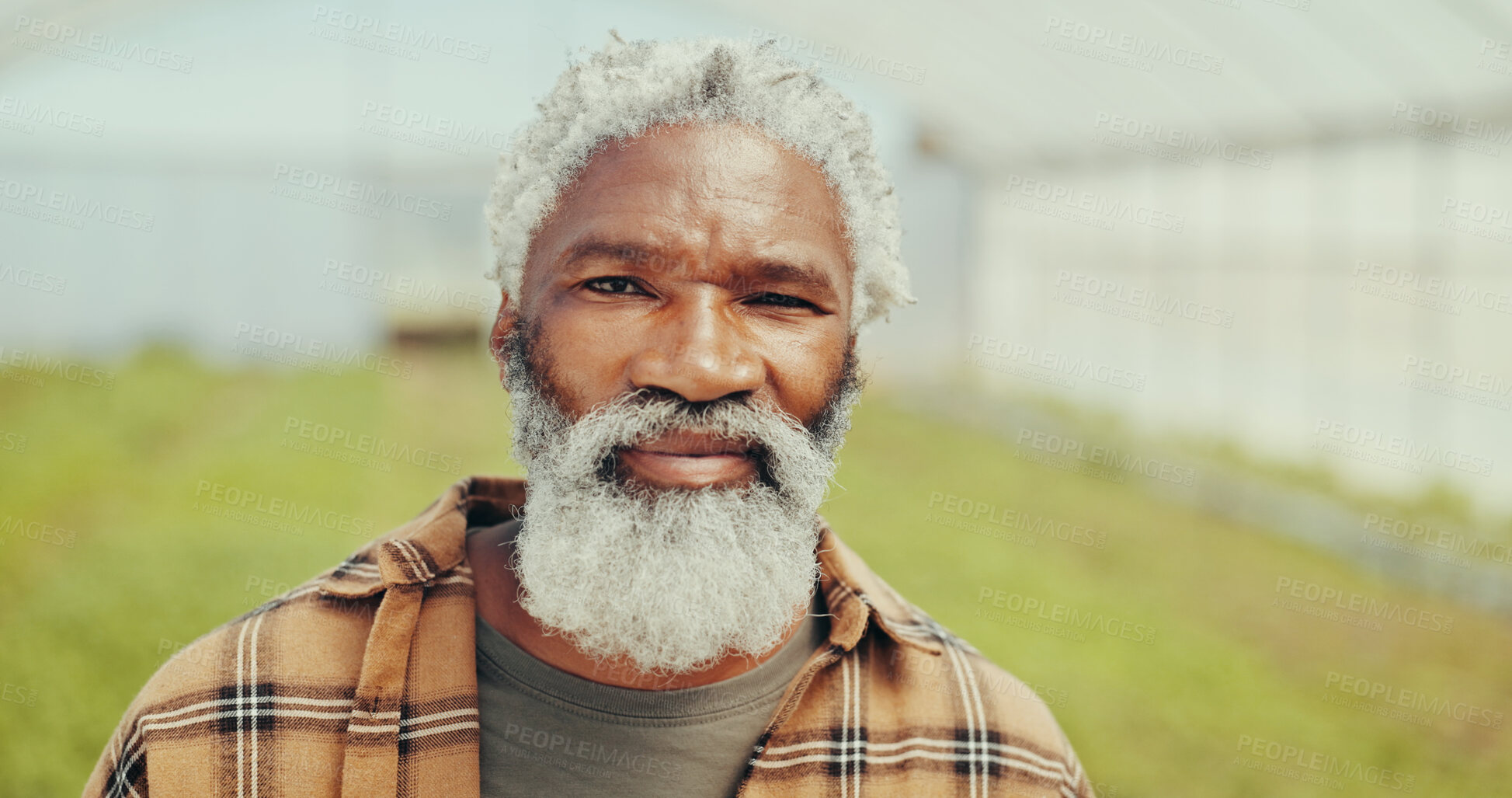 Buy stock photo Pride, sustainable and portrait of man in greenhouse for agriculture, eco friendly or natural produce. Confident, environment and face of mature African farmer for indoor gardening with vegetables.