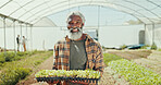 Greenhouse, plants and portrait of black man on farm for agriculture, sustainability and growth. Environment, summer and eco friendly with mature person field inspection, quality control and health
