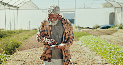 Buy stock photo Greenhouse, plant and tablet with black man on farm for agriculture, sustainability and growth. Environment, summer and eco friendly with mature person for field inspection, quality control or health