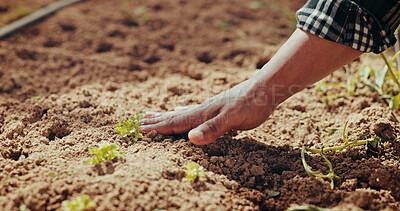 Buy stock photo Growth, gardening and hand with soil, sustainability and gardener in environment, agriculture and nature. Planting, sapling and fertilizer for plants, person and eco friendly for sprout and ecology