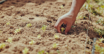 Buy stock photo Nature, planting and hand with soil, sustainability and gardener in environment, agriculture and growth. Gardening, sapling and fertilizer for plants, person and eco friendly for sprout and ecology