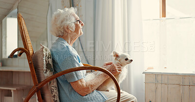 Buy stock photo Dog, elderly woman and living room for thinking, memory and affection as emotional support animal. Puppy, senior person and reflection for wellness, pet care or bonding as together in retirement home