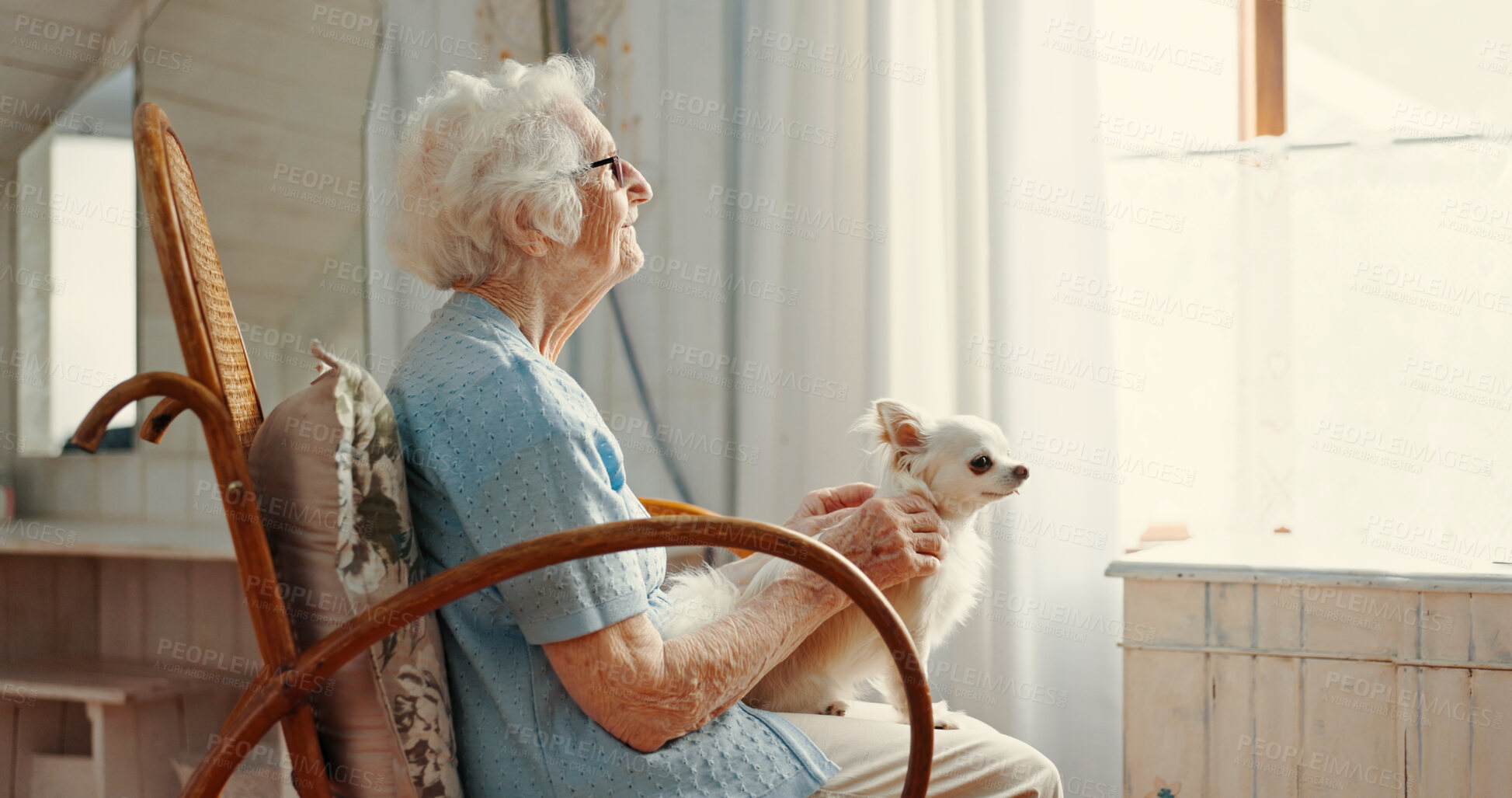 Buy stock photo Dog, elderly woman and living room for thinking, memory and affection as emotional support animal. Puppy, senior person and reflection for wellness, pet care or bonding as together in retirement home