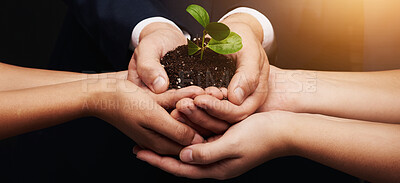 Buy stock photo Soil, team and hands of business people with plant for sustainability, eco friendly and environmental charity. Corporate, collaboration and workers with sprout for earthy day, support and growth