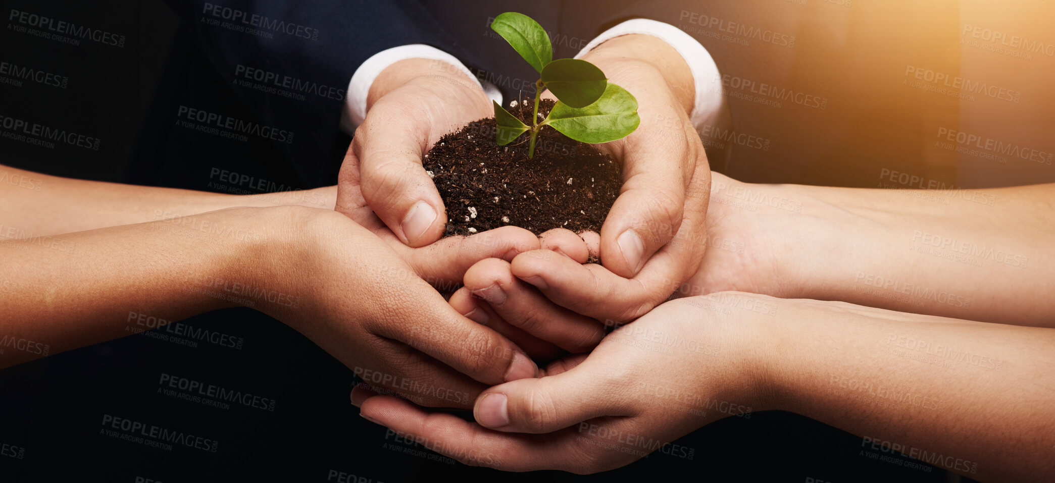 Buy stock photo Soil, team and hands of business people with plant for sustainability, eco friendly and environmental charity. Corporate, collaboration and workers with sprout for earthy day, support and growth