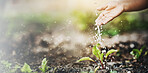 Nature, soil and hands with water for plant for growth, sustainability and environmental gardening. Farming, agriculture and person with drops for sprout for fertilizer, ecosystem and ecology