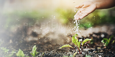 Buy stock photo Nature, soil and hands with water for plant for growth, sustainability and environmental gardening. Farming, agriculture and person with drops for sprout for fertilizer, ecosystem and ecology