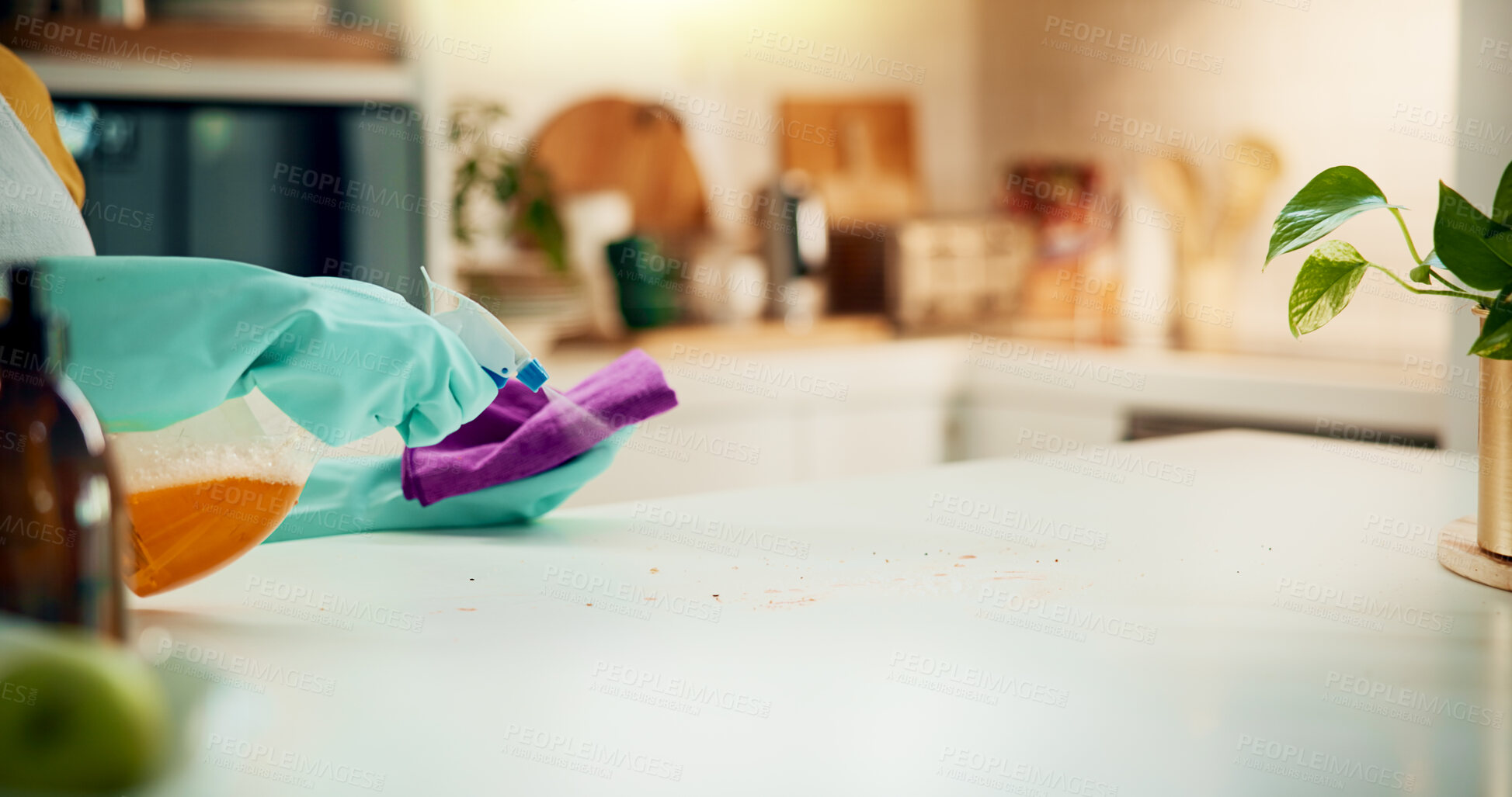 Buy stock photo Cloth, cleaner and person with spray bottle, service and detergent for daily chores, gloves and safety. Kitchen, product and spring cleaning as equipment, sanitary or hygiene for disinfectant in home