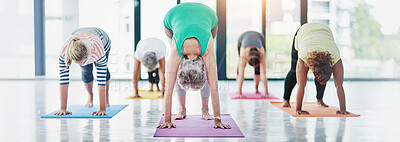 Buy stock photo Yoga, stretching and women in class together for fitness, natural exercise and morning balance with teacher. Workout, zen and group of people relax for health, wellness and mindfulness on banner