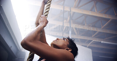 Buy stock photo Exercise, woman and rope climbing at gym for strength training, cardiovascular health and flexibility. Athlete, person and endurance workout for healthy body, challenge or muscle power at sports club