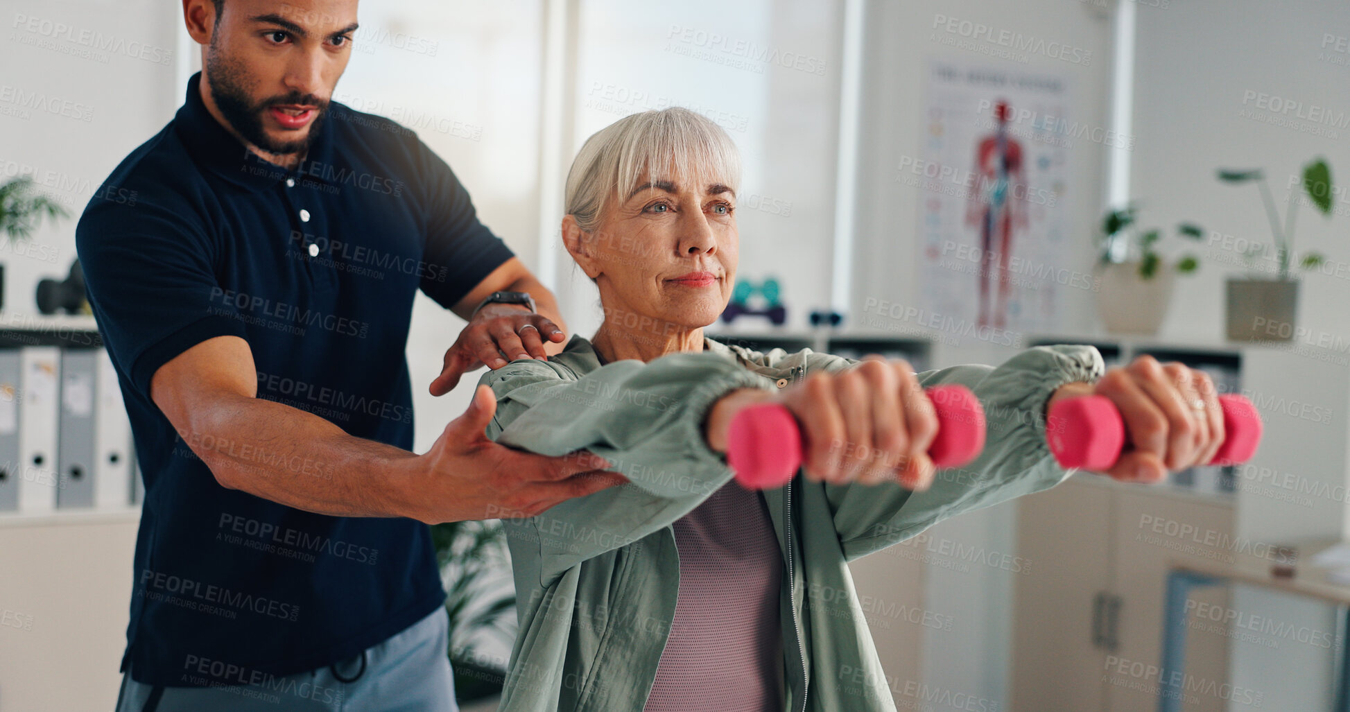 Buy stock photo Physiotherapist, support or senior woman with dumbbells for rehabilitation, muscle exercise or body health. Shoulder mobility, physiotherapy or client with weights for physical recovery or balance