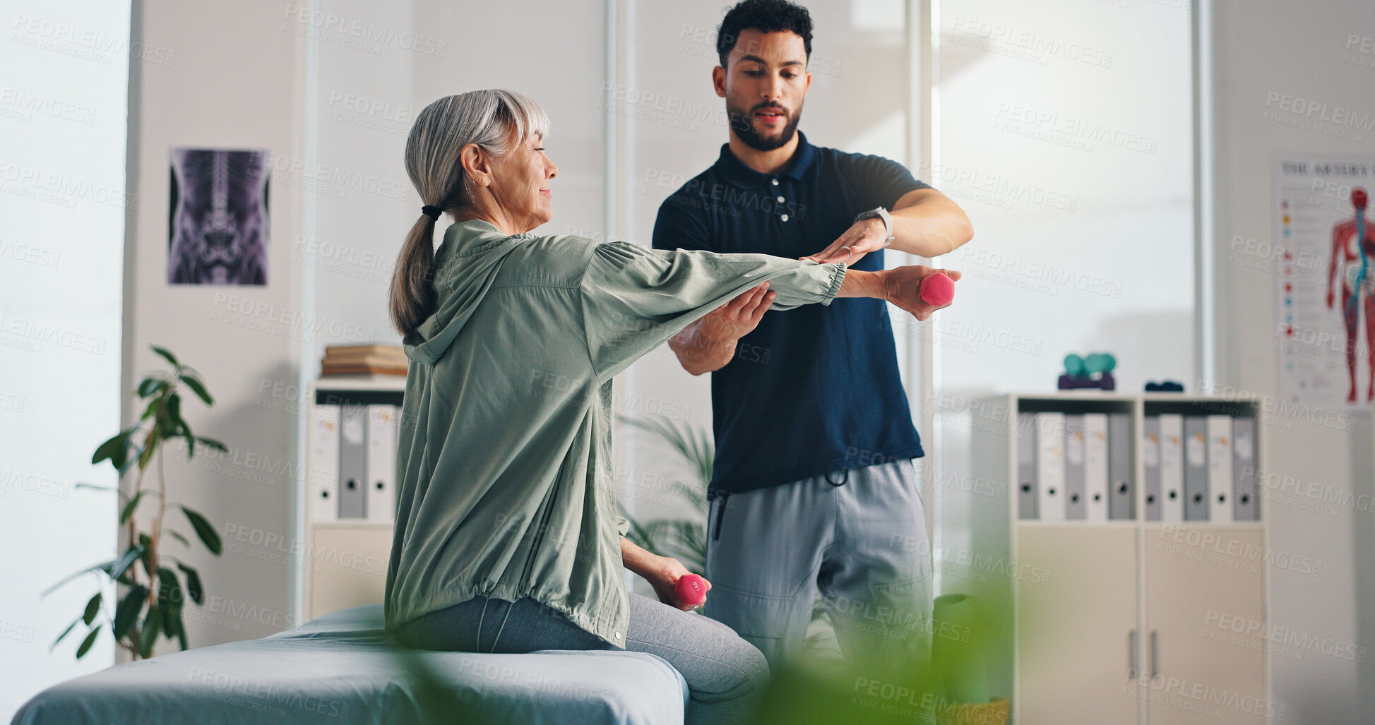 Buy stock photo Physiotherapist, arm or senior woman with dumbbells for rehabilitation, muscle exercise or body health. Shoulder mobility, physiotherapy or client with light weights for physical recovery or balance