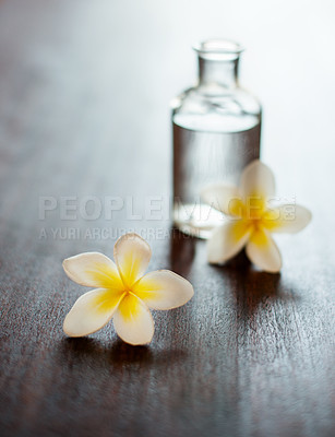 Buy stock photo Wellness, scent and essential oil with flowers on table for fragrance, stress relief and aromatherapy massage. Interior, frangipani and organic product for skincare, antioxidants and healing