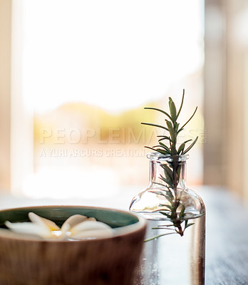 Buy stock photo Wellness, spa and rosemary essential oil with flowers on table for aromatherapy treatment, relax or swedish massage. Interior space, health clinic and empty room with organic products for self care