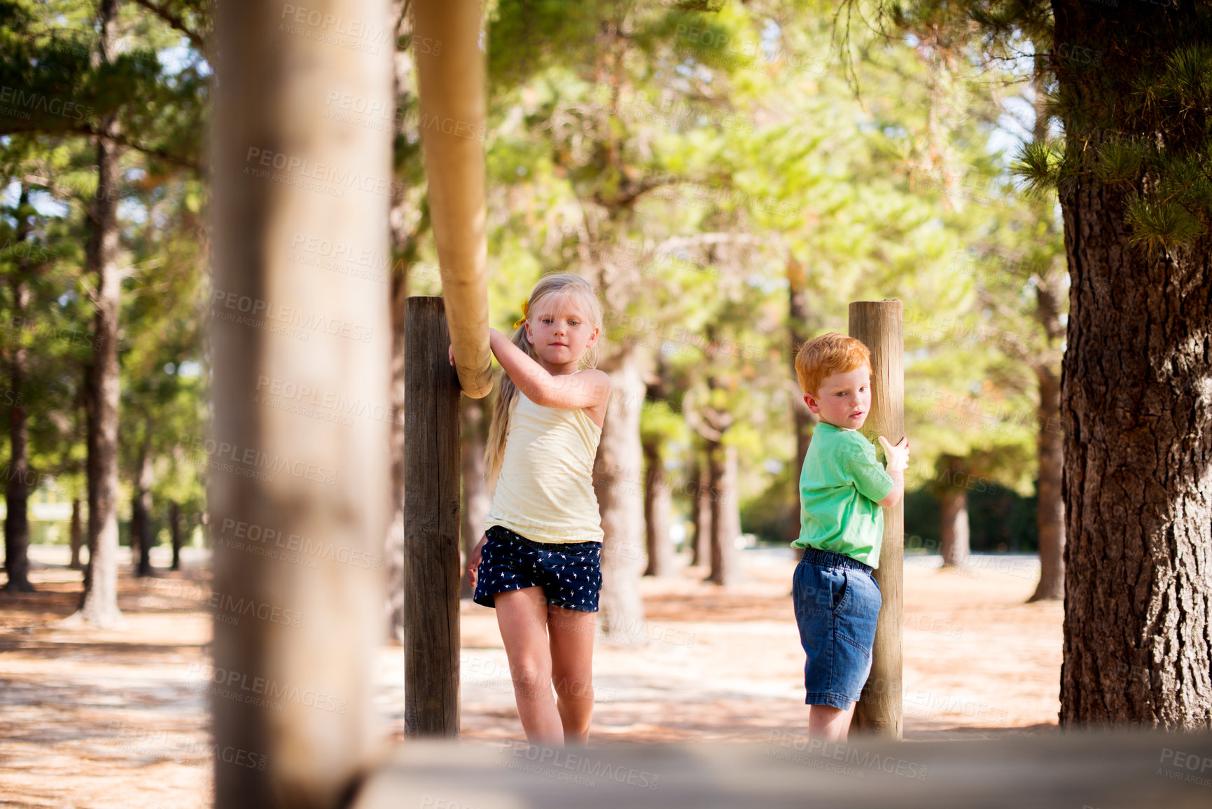 Buy stock photo Bridge, jungle gym and walking with children friends outdoor in nature together for challenge. Balance, growth or summer with boy and girl kids at playground in forest for bonding or playing