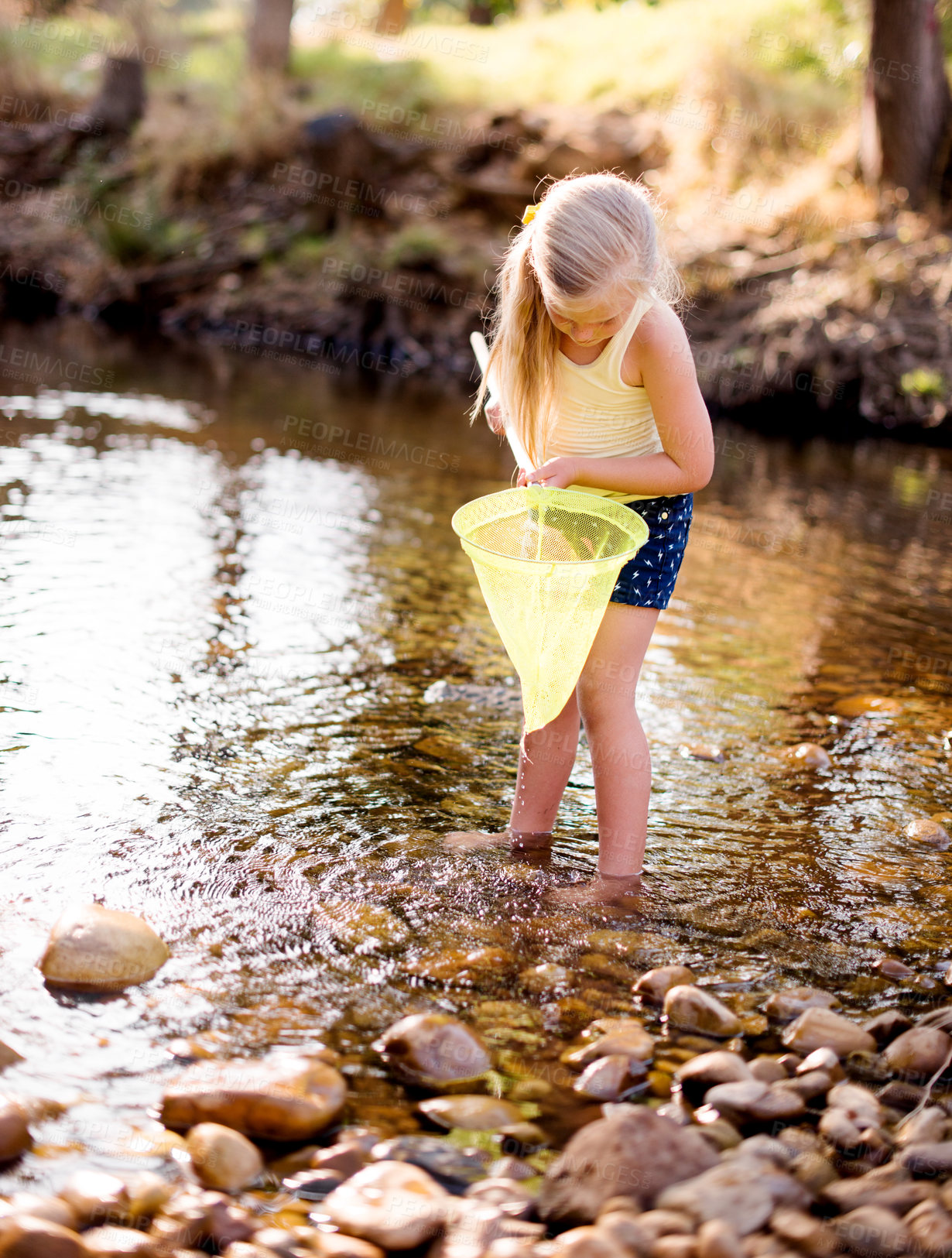 Buy stock photo Child, river and girl play with fishing net on vacation, holiday or adventure in countryside. Hobby, catch and kid in water with equipment for learning, explore or travel for hiking in nature outdoor