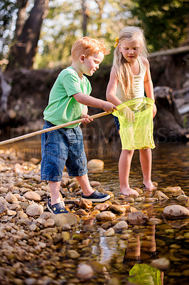 Buy stock photo Fishing, net and learning with children in nature for summer vacation, travel and river. Water, adventure and happiness with kids playing in creek of forest for holiday, youth and fun together