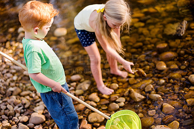 Buy stock photo Fishing, net and adventure with children in nature for summer vacation, travel and learning. Water, river and woods with kids playing in creek of forest for holiday, youth and outdoor fun together