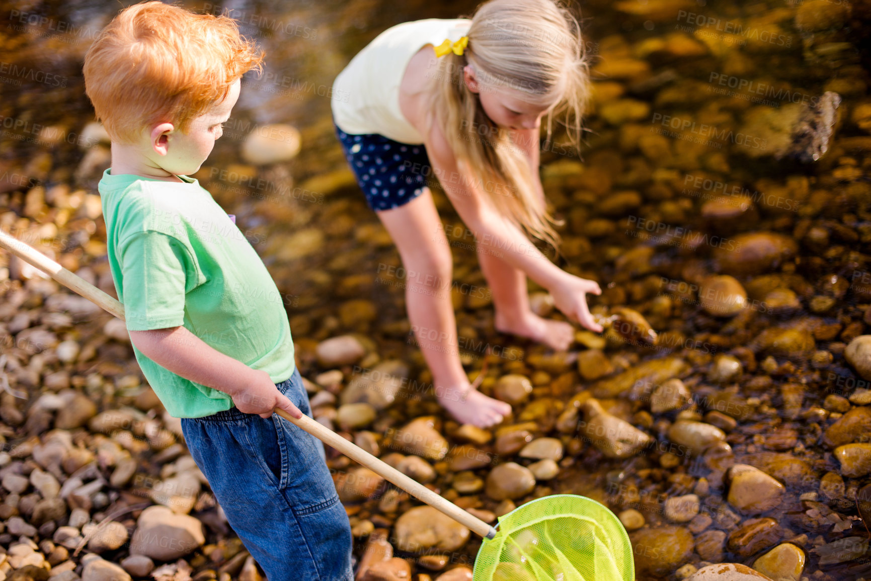 Buy stock photo Fishing, net and adventure with children in nature for summer vacation, travel and learning. Water, river and woods with kids playing in creek of forest for holiday, youth and outdoor fun together