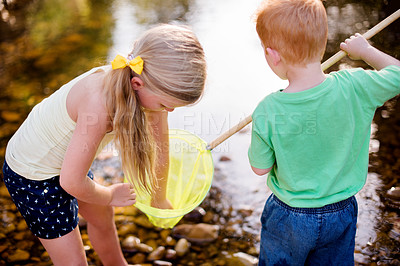 Buy stock photo Outdoor, river and children with net for fishing, learning and assistance with fun activity as family. Siblings, boy and girl in lake with tool for exploring pond, bonding and childhood adventure
