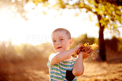 Buy stock photo Portrait, leaves and boy in park, game and happiness with energy, carefree and environment. Outdoor, childhood and kid in playground. fun and forest with weekend break, explore and countryside