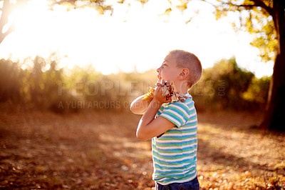 Buy stock photo Profile, leaves and boy in park, game and happiness with energy, countryside and woods. Outdoor, childhood and kid in playground. fun and environment with weekend break, activity and carefree