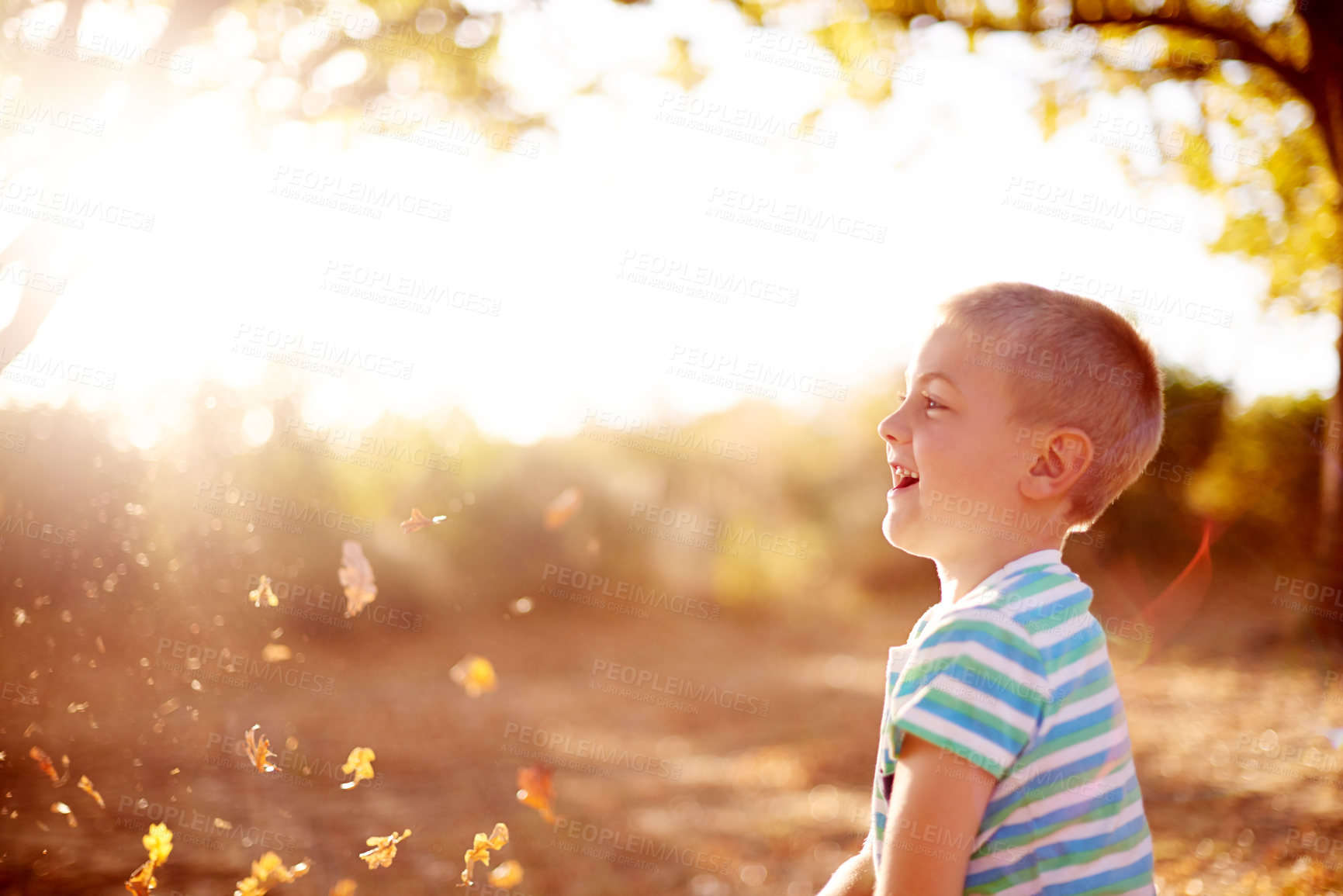 Buy stock photo Throwing leaves, profile and boy in park, smile and lens flare with happiness, carefree and fun. Outdoor, childhood and kid in playground, energy and nature with game, summer and weekend activity