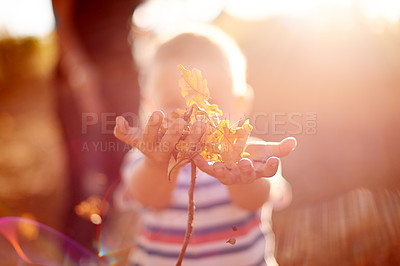 Buy stock photo Hands, leaves and boy in playground, game and energy with lens flare, explore and sunshine. Kid, outdoor and childhood with sunshine, countryside and forest with break, weekend activity and curious