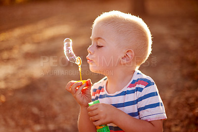 Buy stock photo Boy, child and outdoor for blowing bubbles at sunset, park and games with memory in autumn. Kid, toys and playful on adventure with soap, liquid and foam in garden for development in New Zealand
