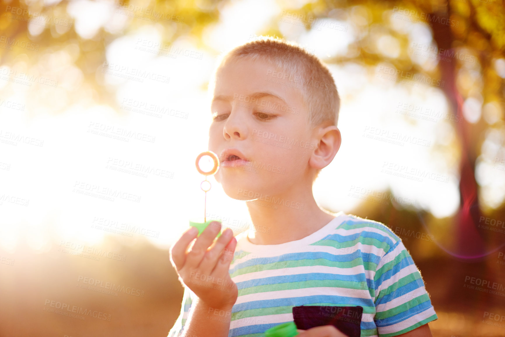 Buy stock photo Boy, kid and forest for blowing bubbles at sunset, outdoor and games with memory in autumn. Child, toys and playful on adventure with soap, liquid and foam in sunshine for development in New Zealand