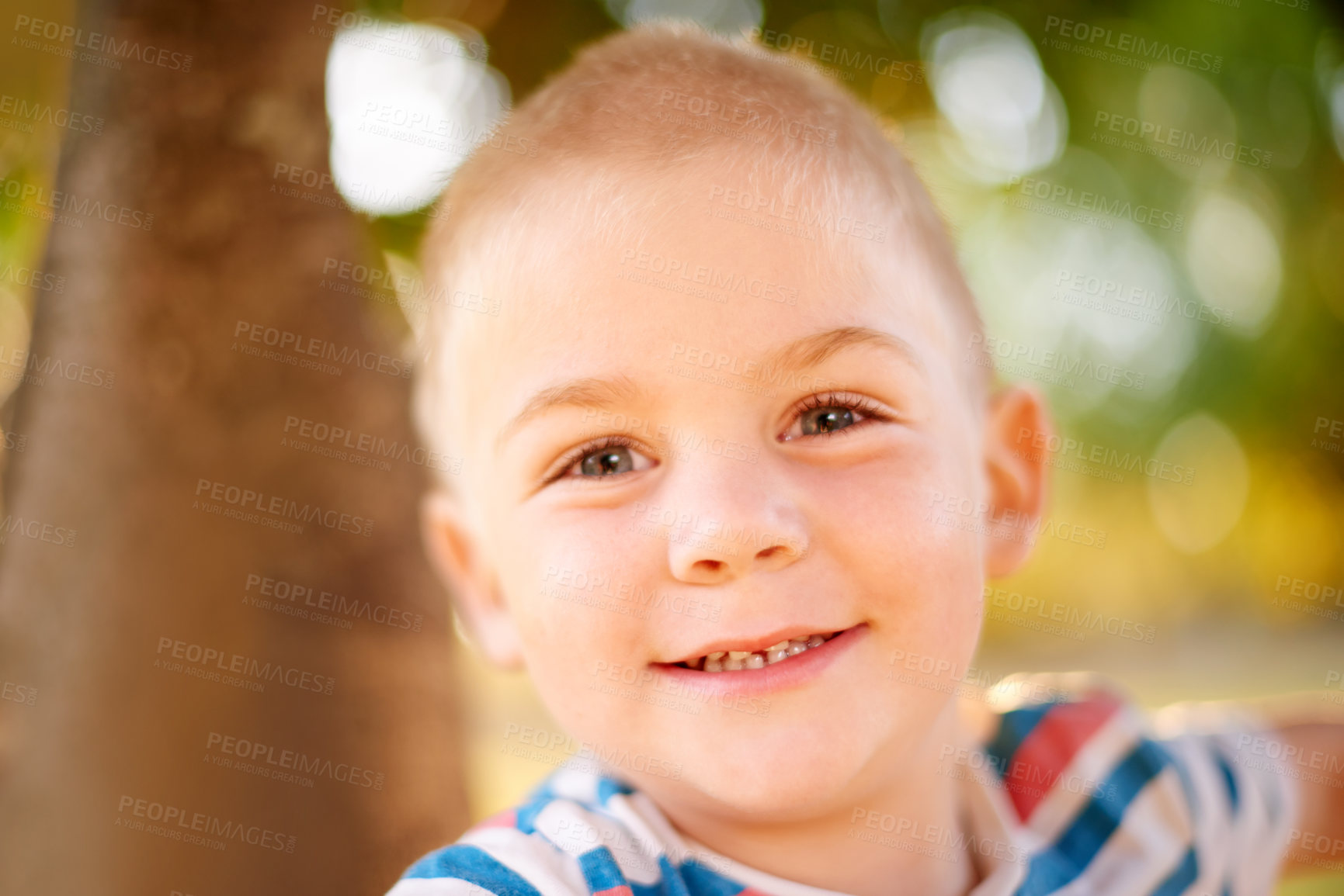 Buy stock photo Tree, play and portrait of child in park with smile, outdoor adventure and development for kids. Relax, weekend and happy face of boy in playground for growth, fun games or childhood energy in nature