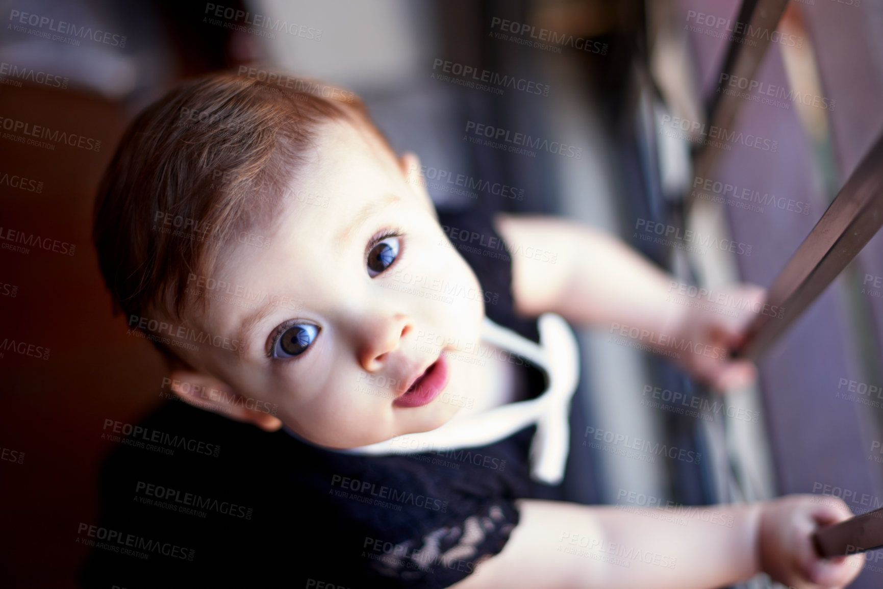 Buy stock photo Growth, morning and portrait of baby in home for curiosity, learning or progress as innocent youth. Development, growing up and playing with adorable infant girl in nursery of apartment from above