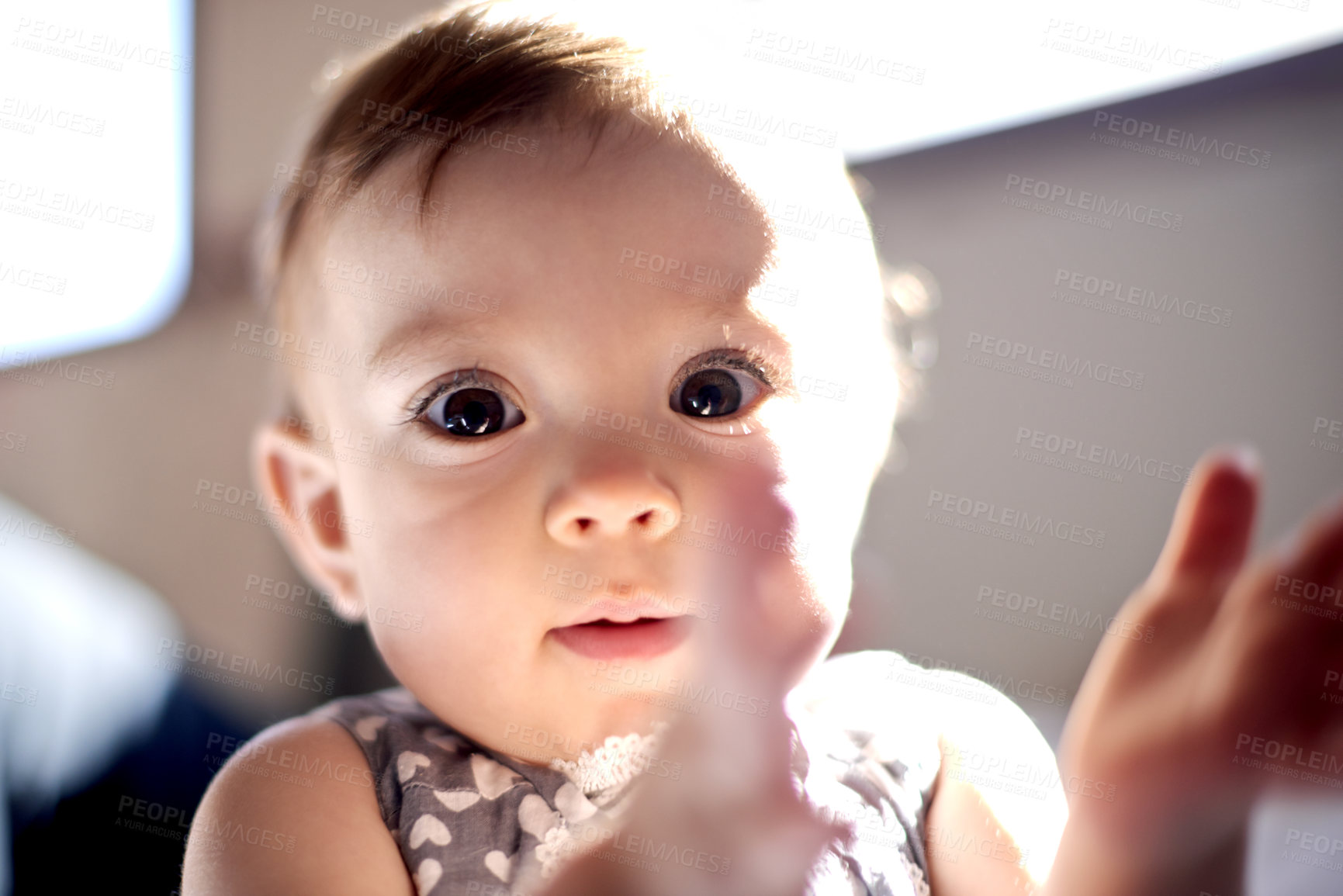 Buy stock photo Cute, portrait and baby with adorable face at home for childhood, youth or development. Closeup, little girl or infant with innocent eyes for playful day, growth or health in sunlight at house