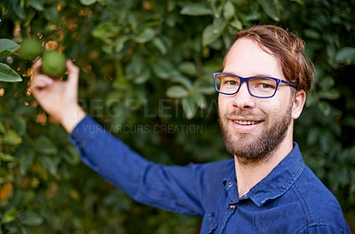 Buy stock photo Trees, farm and portrait of man with avocado in orchard for growth, harvest and organic produce. Agriculture, sustainability and happy person with vegetable for inspection and healthy food in nature