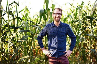 Buy stock photo Corn, farming and portrait of man in field with smile, natural food production and agro management. Nature, growth and farmer with plants for sustainable agriculture, confidence and eco resources