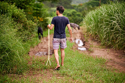 Buy stock photo Sustainability, walking and man on farm path with natural off grid lifestyle for carbon footprint from back. Resources, permaculture and farmer with biodiversity, eco friendly agriculture and nature