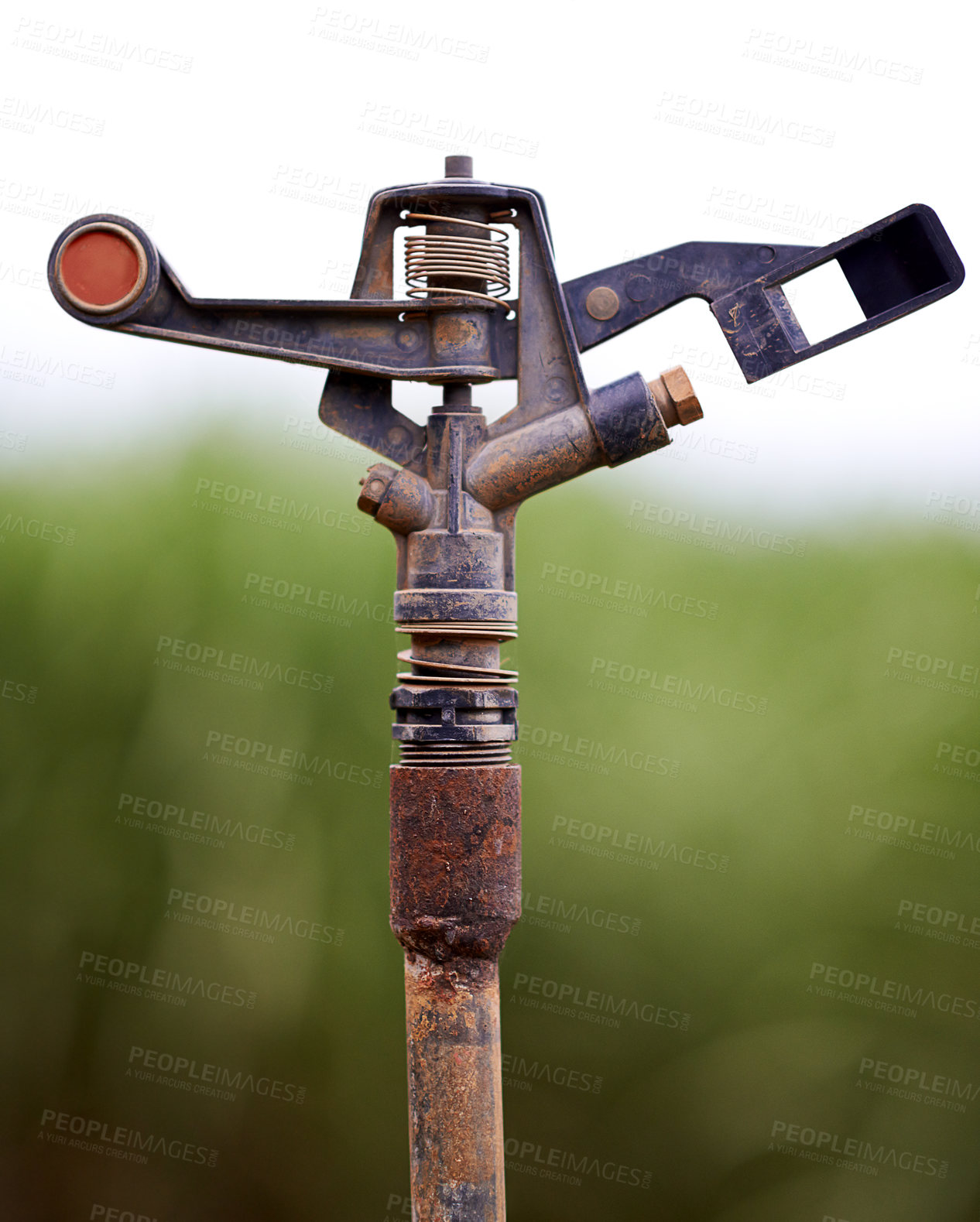 Buy stock photo Farm, closeup and irrigation for agriculture, sprinkler and equipment for sustainability of crops. Outdoor, environment and tool for watering of plants, nature and technology for growth of harvest