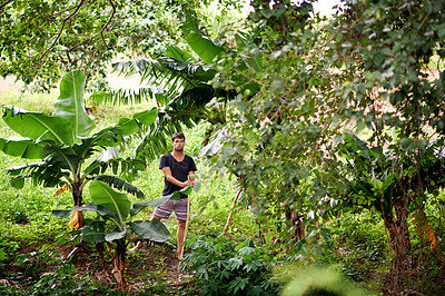 Buy stock photo Sustainability, farming and portrait of man by trees with natural off grid lifestyle for carbon footprint. Resources, permaculture and farmer with biodiversity, eco friendly agriculture in nature