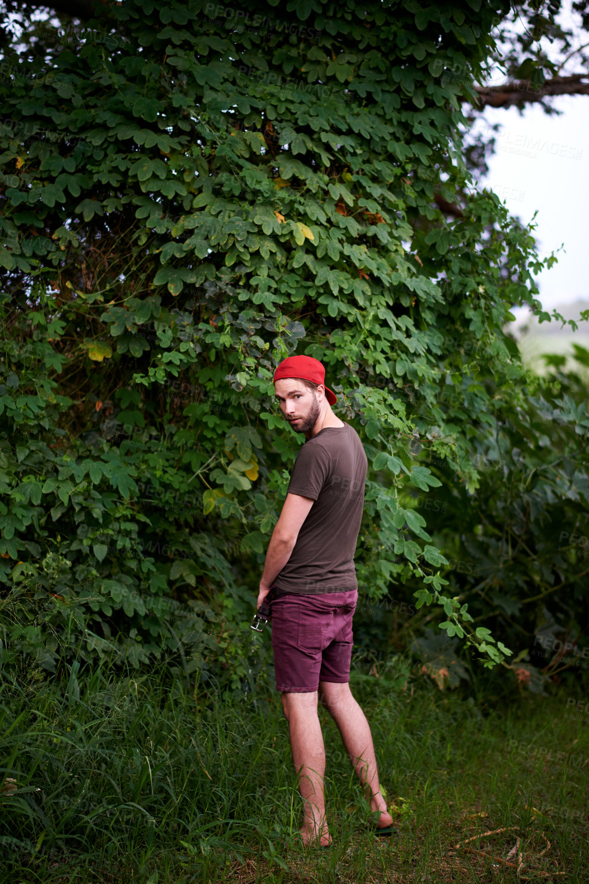 Buy stock photo Travel, man and peeing outdoor in nature, hiking or adventure for holiday trip in countryside. Urinate, public and dirty person in forest with unhygienic behavior on vacation, trekking or journey