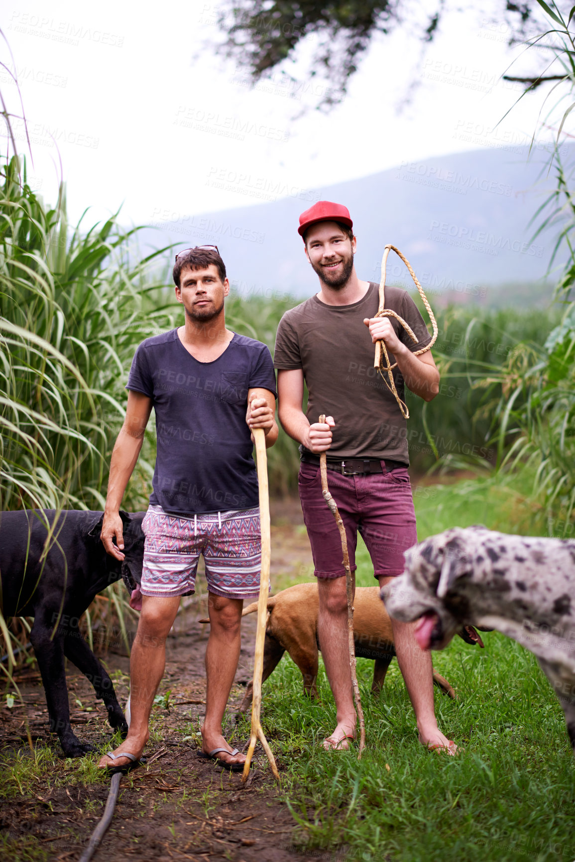 Buy stock photo Portrait, friends and men in nature, countryside and confident for farming with dogs, fresh air and outdoor. Agriculture, farmer and people with equipment for industry, sustainability and sugar cane