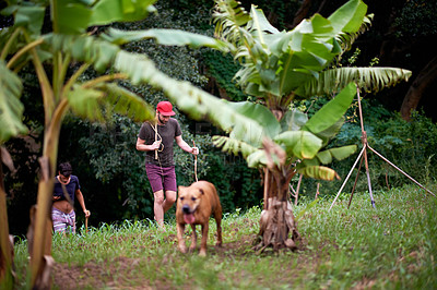 Buy stock photo People, dog and walking in nature for travel, rural adventure and journey in tropical jungle. Friends, pet and trekking in forest for exploring, fitness activity and outdoor on vacation with loyalty