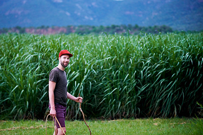 Buy stock photo Sustainable farming, walking and portrait of man in corn field with smile, growth and organic crops. Biodiversity, agriculture and happy farmer in countryside with plants, food production and nature