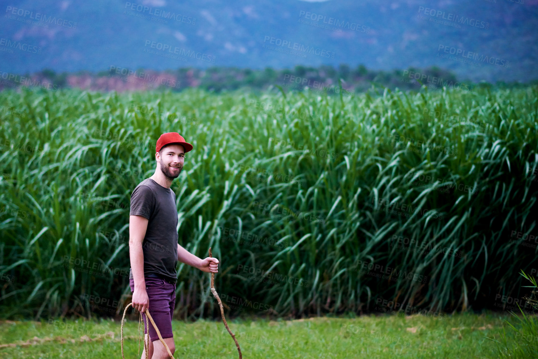 Buy stock photo Sustainable farming, walking and portrait of man in corn field with smile, growth and organic crops. Biodiversity, agriculture and happy farmer in countryside with plants, food production and nature