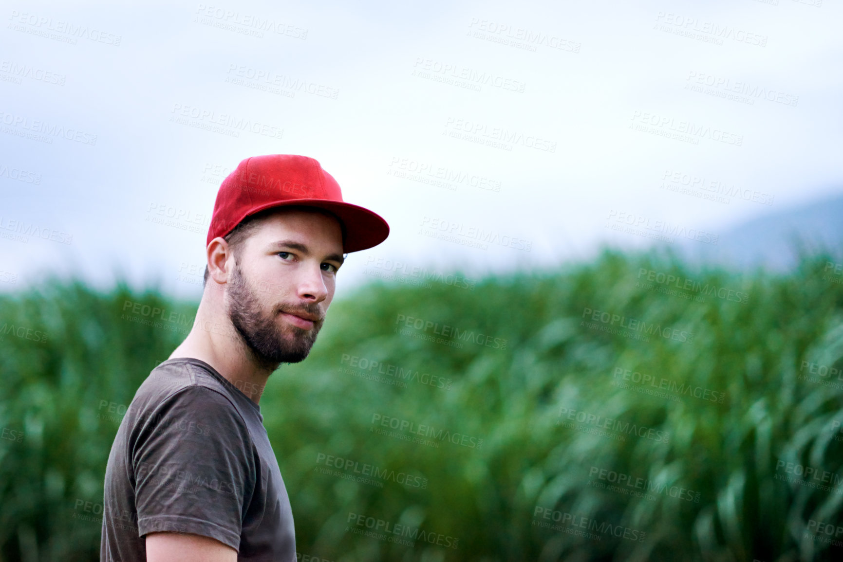Buy stock photo Sustainable farming, confidence and portrait of man in field with corn, growth and organic crops. Biodiversity, agriculture and agro farmer in countryside with plants, food production and nature