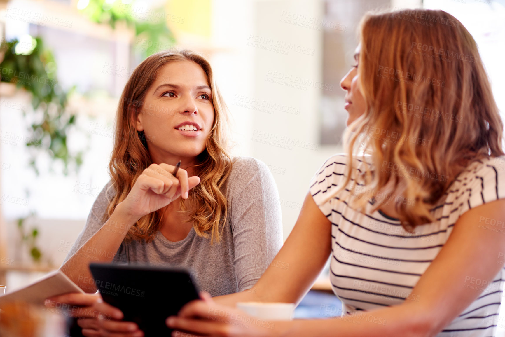 Buy stock photo Conversation, meeting and tablet with sisters in coffee shop together for partnership or small business management. Collaboration, planning and research with woman twins in cafe as store owners