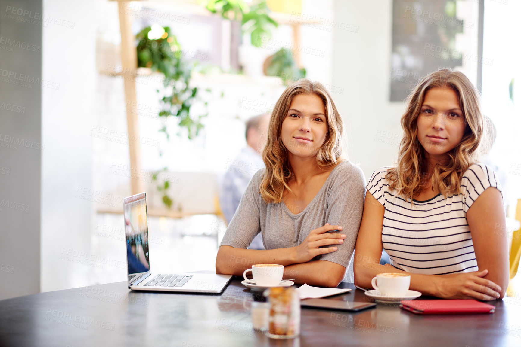 Buy stock photo Women, portrait and meeting in coffee shop for business report, connection and bonding at lunch date. Family, brunch and twin sisters in cafe together with morning drinks, menu planning or ideas